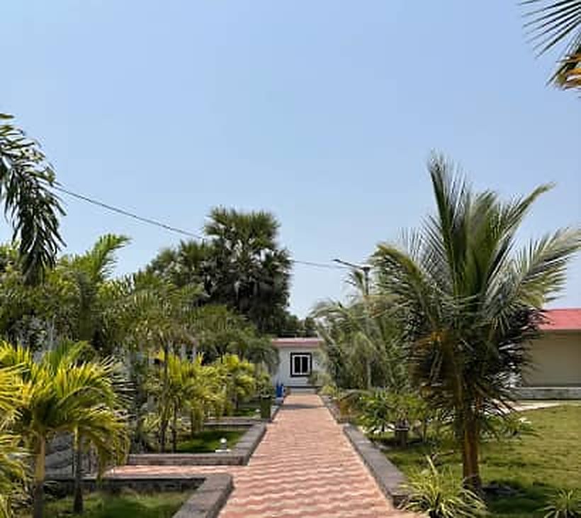 Brick-paved garden lane with palms at the resort