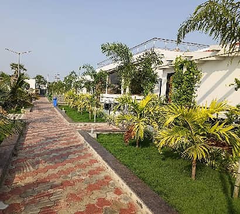 Paved garden pathway with palms